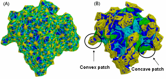 Surface Segmentation